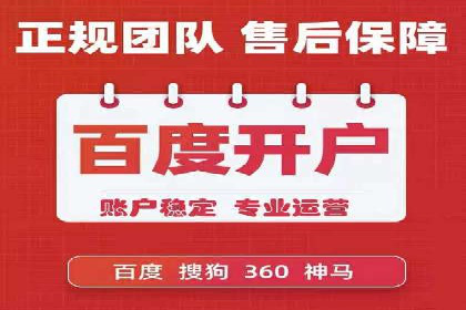 网络推广竞价实战：某电商平台的成功案例
